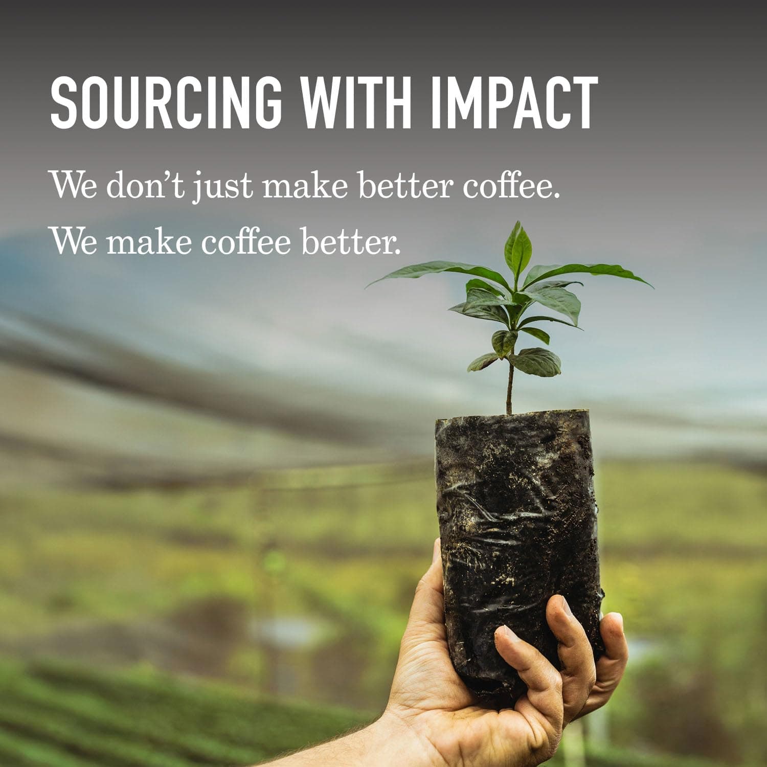 Peet's Coffee, Dark Roast Ground Coffee, 100% Arabica Coffee - Major Dickason's Blend 10.5 Ounce Bag thumbnail 7