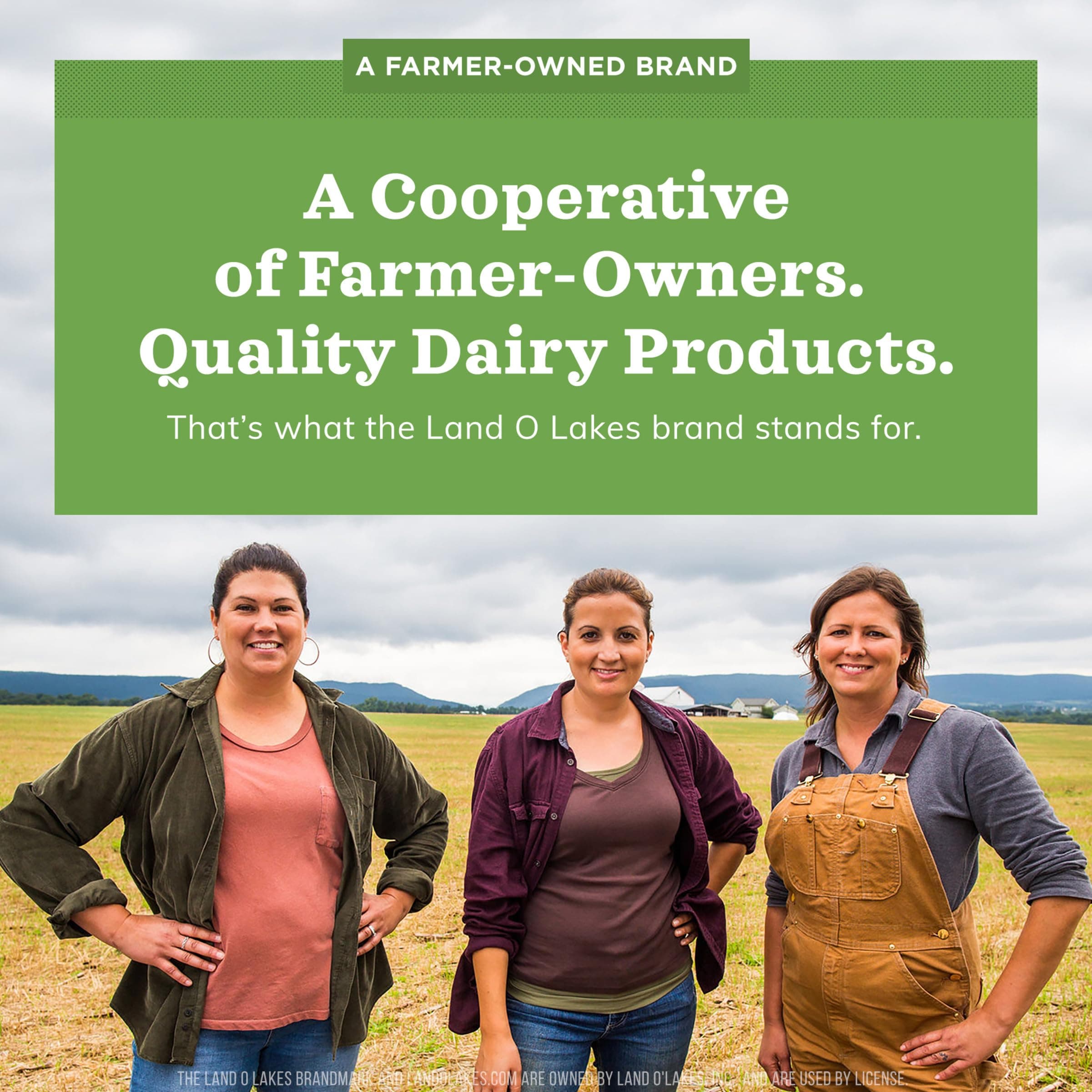 Land O Lakes Half And Half, Traditional, Coffee Creamer, 1 Quart thumbnail 8