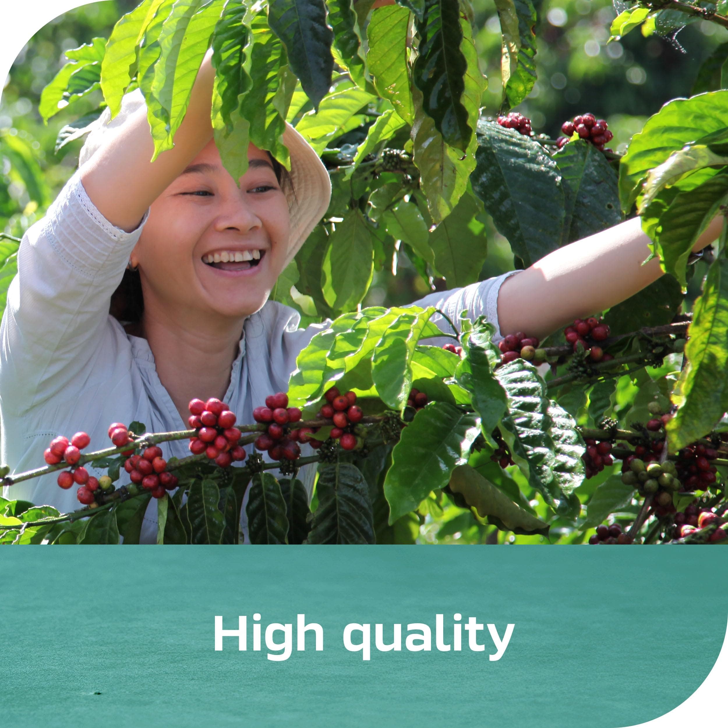 NESCAFÉ Espresso Concentrate Black, Instant Espresso Coffee Concentrate, Cold Brew Style, Iced Coffee Style Drinks, 10 fl oz thumbnail 7