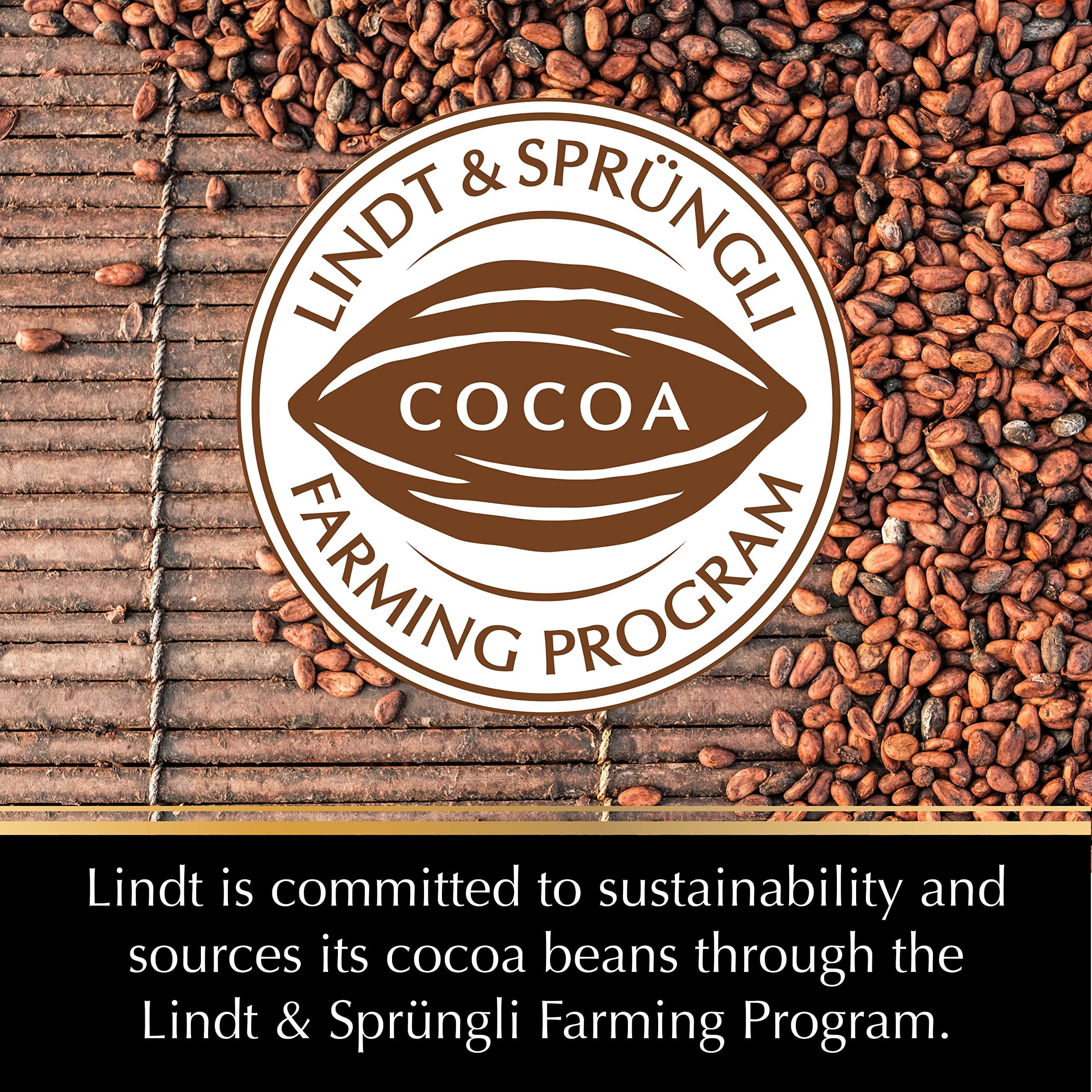 Lindt EXCELLENCE 90% Cocoa Dark Chocolate Bar, Dark Chocolate Candy, 3.5 Ounce thumbnail 8